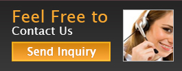 Fell Free to Contact Us Fell Free to Contact Us