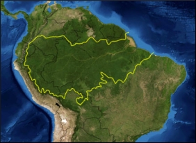 Amazonia.jpg