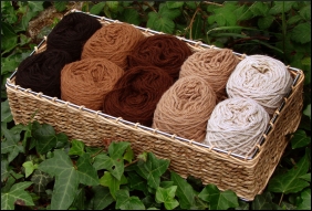Wool textile
