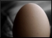 Egg.9.Thmb.jpg
