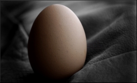 Egg.9.jpg