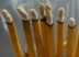 Incense Sticks THMB