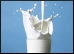 Milk.9.Thmb.jpg