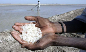 salt-production-india