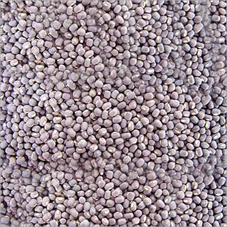 Black Matpe Beans