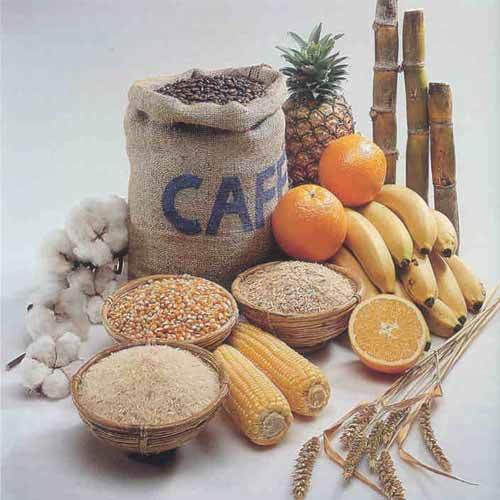 agricultural-products-in-sion-e-mumbai-maharashtra-india-western