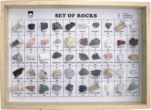 50 Rocks Set Educational Teaching Aids Science Kits In Ambala Cantt 