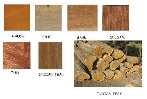 Indian Timber