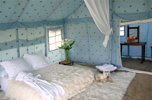 Cottage Tent