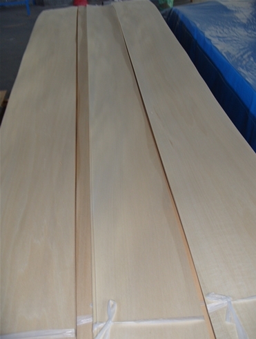 basswood veneer