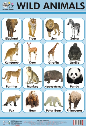 Wild animals pictures chart