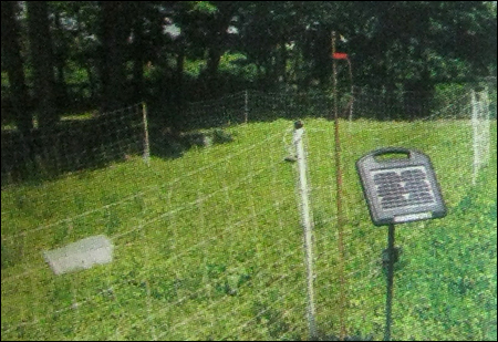 Solar Fencing System in Hyderabad, Telangana, India - Aditi Solar 