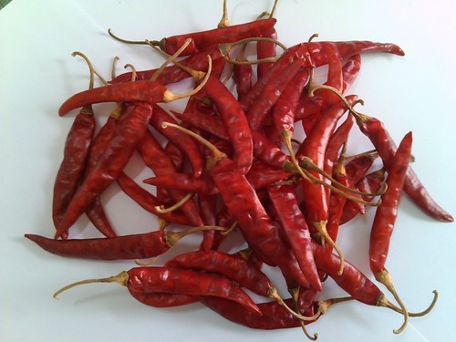 Red Hot Chilli