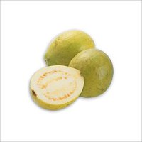 GUAVA PULP