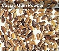 Capsule Polisher
