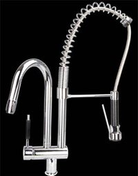 Designer Kitchen Faucet