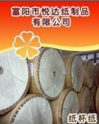 PE Coated Paper