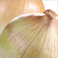 Onion