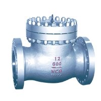 Swing Check Valves