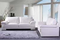 Leather Sofa