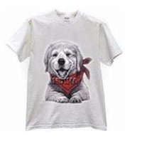T-Shirt Heat Transfer Paper
