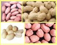 Peanuts