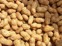 Peanut Oil Flavour