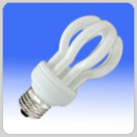 Lotus CFL