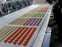 Multi-Function Embroidery Machine