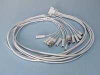 Audio Cables