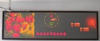 Dual Color LED Display Screen