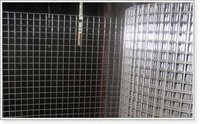 Galvanized Welded Wire Mesh