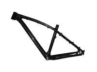 Carbon Frame