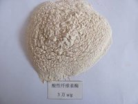 Cellulase Food Additive