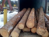 Pine Logs