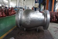 Axial Flow Check Valve