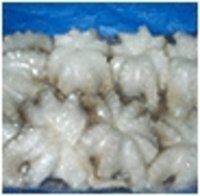 Edible Organic Bamboo Shoot
