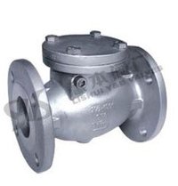Check Valve
