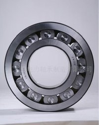 Cylindrical Roller Bearing