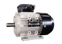 MS Series Three-Phase Aluminium Induction Motors