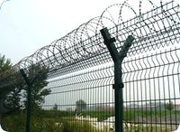 Wire Mesh Fences