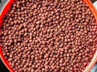 Bright Colored Pellets Fish Food
