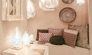 Ambiente India 2017