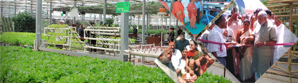 Hi-Tech Agri Expo 2015