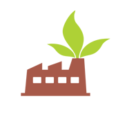 Environment & Pollution