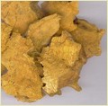 Resveratrol