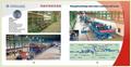 Strip Color Coating Production Line