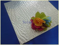 Alloy Aluminum Sheet/Coil