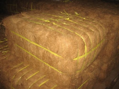 Coconut Fiber