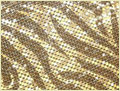 Metallic Cloth